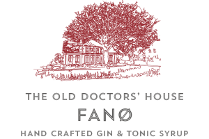 Old Doctors' House Gin Logo